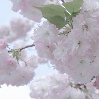 威县FurryQQ群介绍